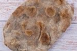 Основа для римской пиццы Ржаная (Парбейк) 20х30 см (240г х 10 шт) зам., Новиков